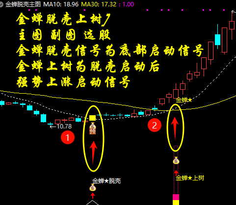 【金蝉脱壳上树】套装主图副图选股【手机电脑通用】