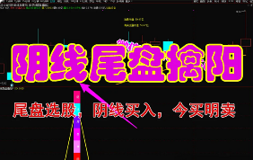 众筹系列【阴线尾盘擒阳】阴线选股，尾盘买入，今买明卖，快进快出，速战速决，成功率超高（手机电脑通用 ，源码，无未来，无限时，）