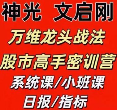万维龙头战法 高手密训营系统课小 班课日报指标