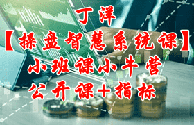 丁洋【操盘智慧-系统课】小班课小牛营公开课+指标