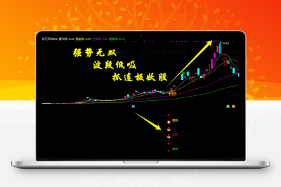 【强势无双启动】主副图+选股  强势无双共振抓龙头 支持手机电脑