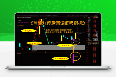 首板涨停回调涨停回马枪短线低吸主力吸筹/主副图信号+选股盘中预警指标公式无未来函数（手机电脑均可使用）